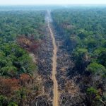 Estudo mostra efeitos do desmatamento na redução da chuva