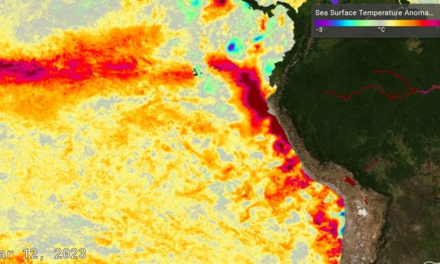 Alerta de clima: El Niño costeiro pode estar se instalando no Pacífico
