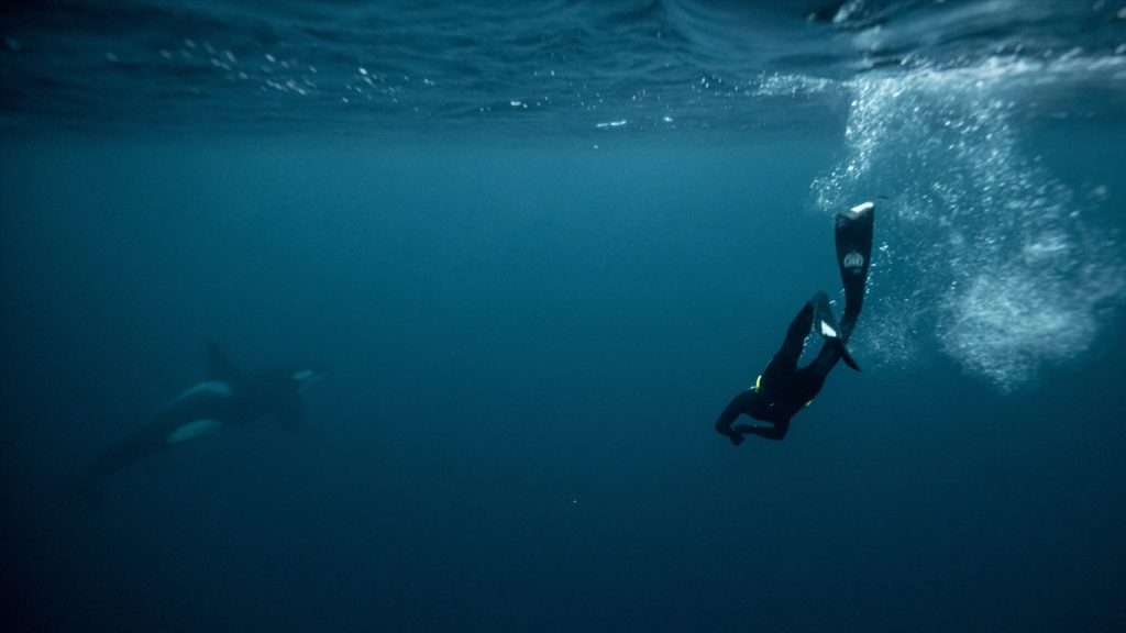 Celebrado acordo histórico para a proteção dos oceanos