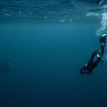 Celebrado acordo histórico para a proteção dos oceanos