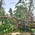 “Uma loucura”: ilha no Pacífico enfrenta dois terretomotos e dois ciclones