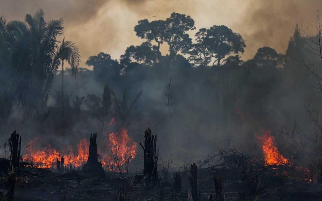 A boa e a má notícia sobre queimadas na Amazônia no começo de 2023 Veja os números de queimadas na Amazônia no primeiro trimestre deste ano e como elas se comparam com anos recentes