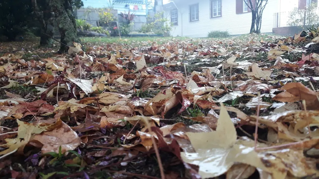 Verão sem fim acaba e outono se instala de vez a partir desta quinta