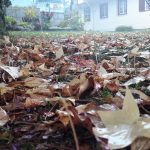 Verão sem fim acaba e outono se instala de vez a partir desta quinta