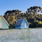 Semana começa com frio de 0ºC e geada no Sul do Brasil