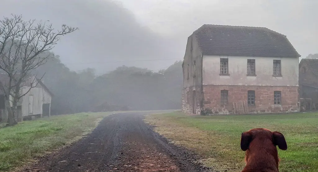 Feriado começou com frio abaixo de zero no Sul do Brasil