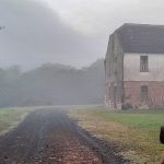 Feriado começou com frio abaixo de zero no Sul do Brasil