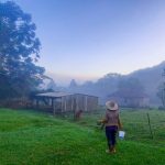 Sábado começou com 4ºC no interior e 9ºC na Grande Porto Alegre