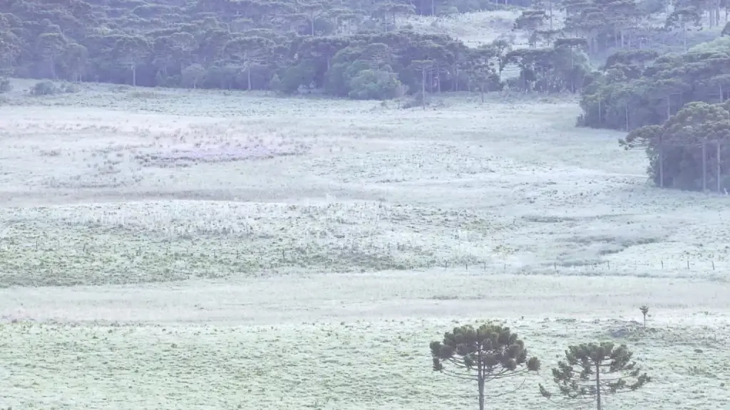 Frio de 0ºC e geada no começo desta sexta no Sul do país