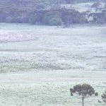 Frio de 0ºC e geada no começo desta sexta no Sul do país