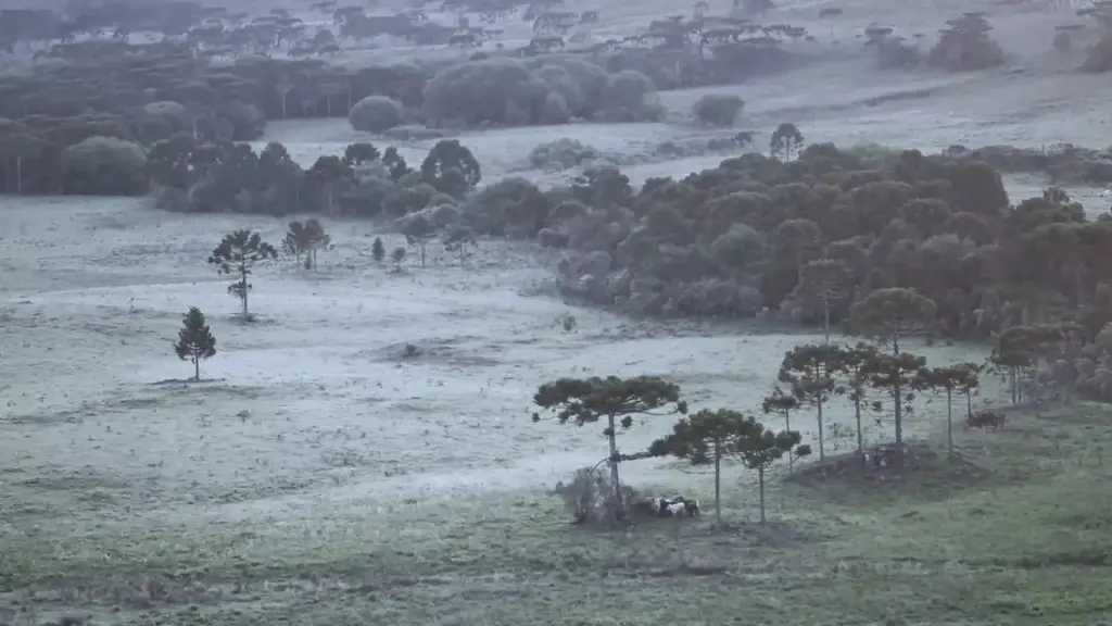 Frio aumenta e pode ser registrada primeira geada do outono