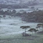 Frio aumenta e pode ser registrada primeira geada do outono