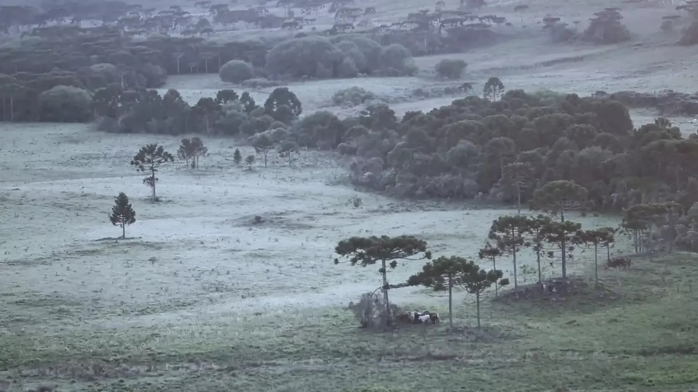 <span class="entry-title-primary">Frio aumenta e pode ser registrada primeira geada do outono</span> <h2 class="entry-subtitle">Temperatura cai acentuadamente sob tempo aberto e ar seco na madrugada deste domingo e o dia vai amanhecer com frio em muitas cidades</h2>