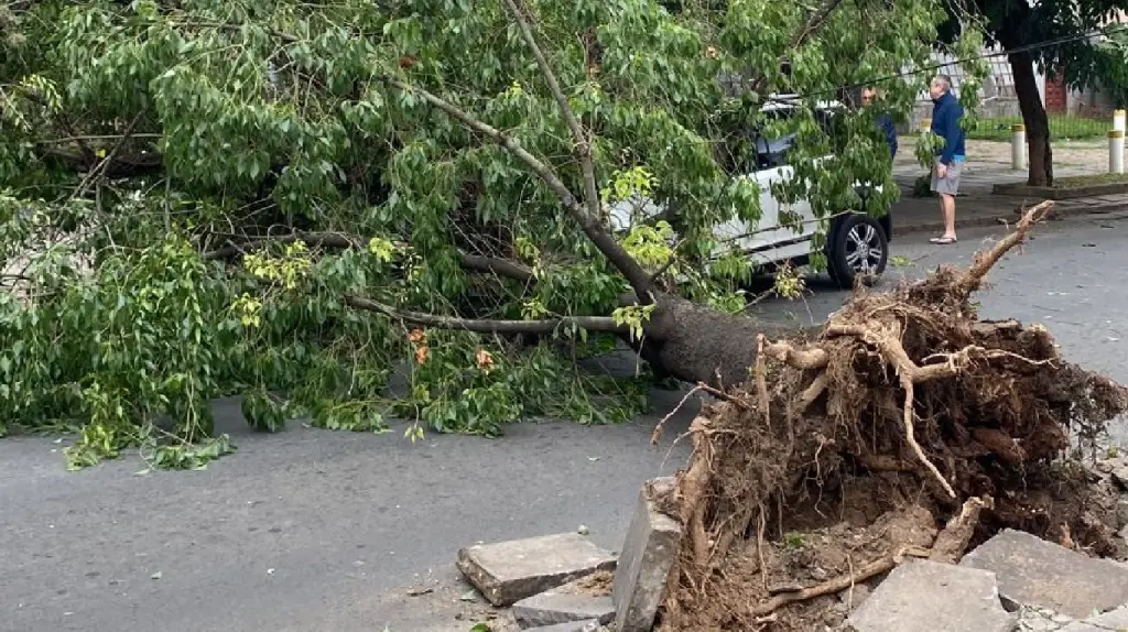 Vento forte já causa transtornos e tendência é se intensificar