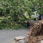 Vento forte já causa transtornos e tendência é se intensificar