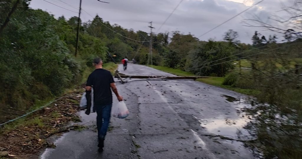 Chuva e vento de 108 km/h causam estragos em Porto Alegre