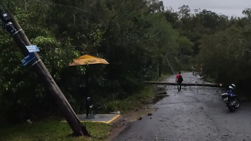Temporal teve força incomum para abril no Sul da Grande Porto Alegre
