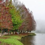 O que esperar do clima em maio às vésperas do El Niño