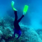 Cientistas perplexos temem “algo sério” com oceanos muito quentes