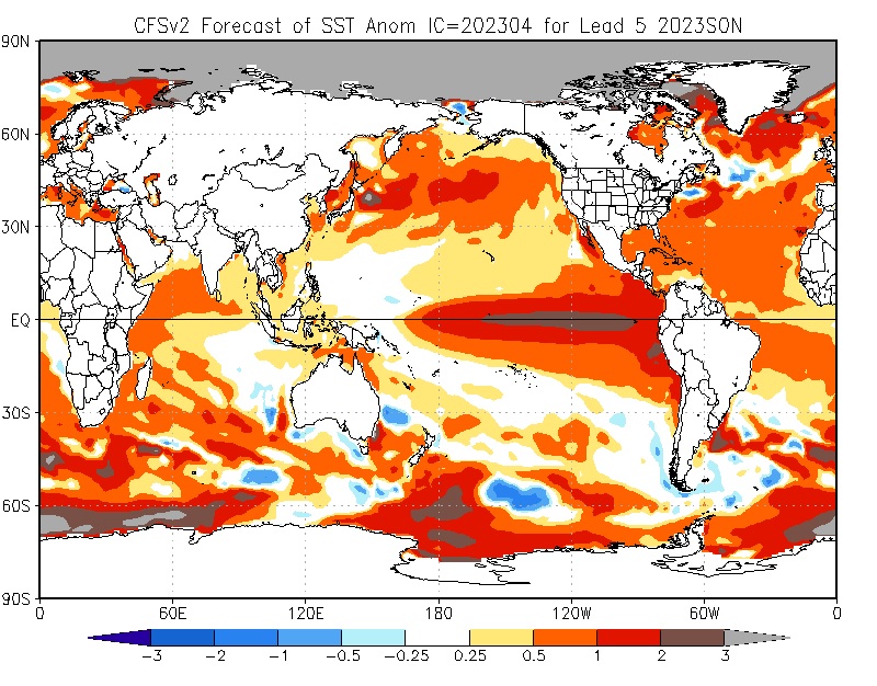 Temperatura dos oceanos atinge nível recorde e preocupa