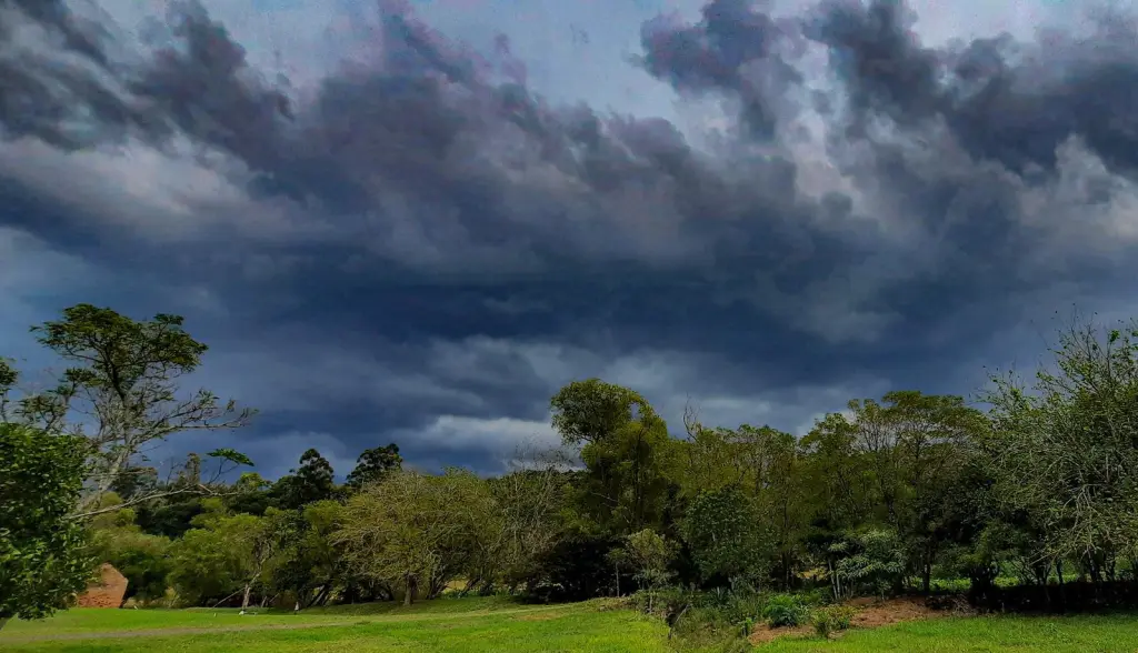 Previsão do tempo: chuva retorna hoje ao Oeste gaúcho