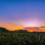 Confira a previsão do tempo para esta segunda-feira (10/4/2023)