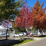 Sábado começou com frio no interior e na Grande Porto Alegre