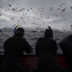 Experts alertam para graves efeitos ambientais por oceanos muito quentes