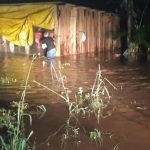 Inundação mata centenas de animais em município gaúcho