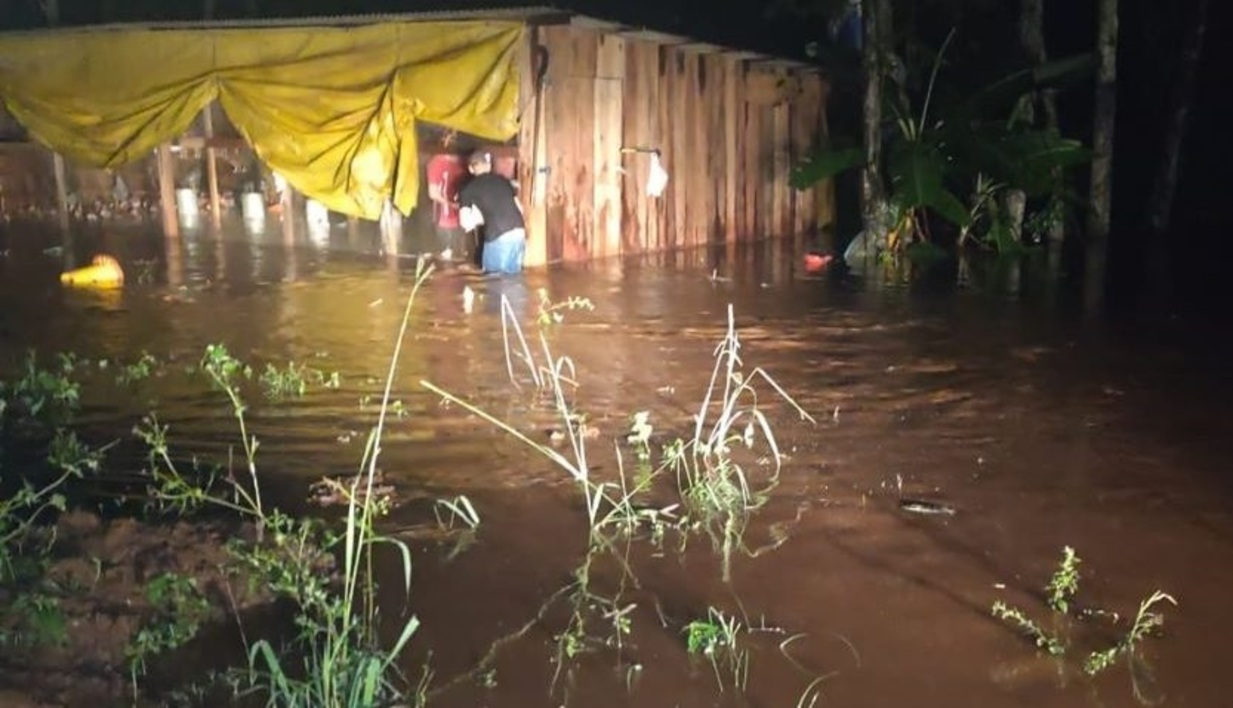 <span class="entry-title-primary">Inundação mata centenas de animais em município gaúcho</span> <h2 class="entry-subtitle">Volumes extremos de chuva atingiram o Rio Grande do Sul nos últimos dias e trouxeram prejuízo no Vale do Taquari</h2>