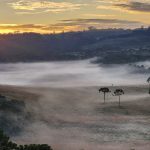 Sul do Brasil terá longa sequência de noites frias e com geada