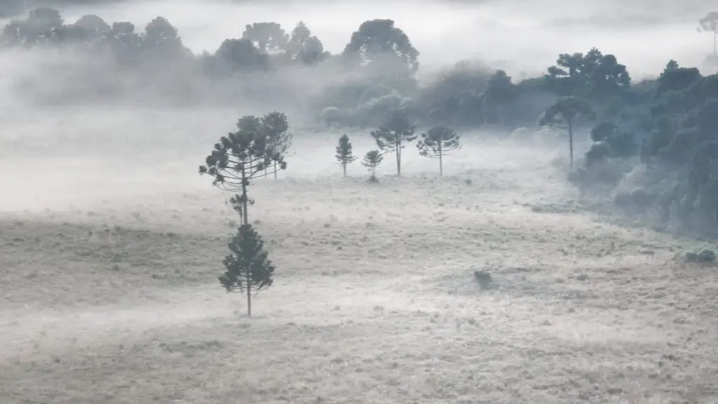 Quarta-feira começou com frio abaixo de zero no Sul do Brasil