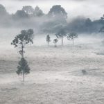 Quarta-feira começou com frio abaixo de zero no Sul do Brasil