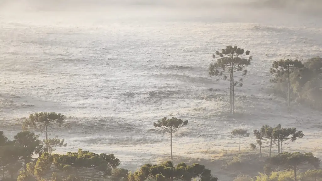 Frio de quase 4ºC abaixo de zero no Sul do Brasil