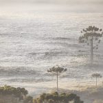 Frio de quase 4ºC abaixo de zero no Sul do Brasil