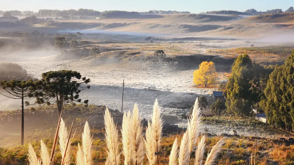 As imagens do frio em amanhecer abaixo de zero nos três estados do Sul