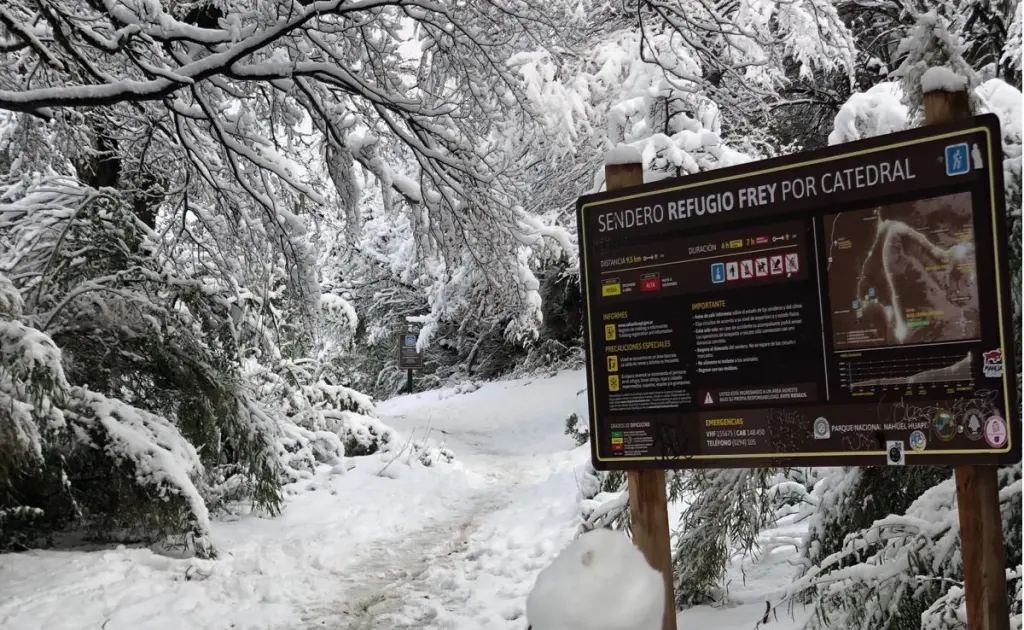 O que esperar do ar frio que trouxe neve na Argentina