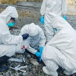 Estudos mostram relação entre gripe aviária e mudanças climáticas