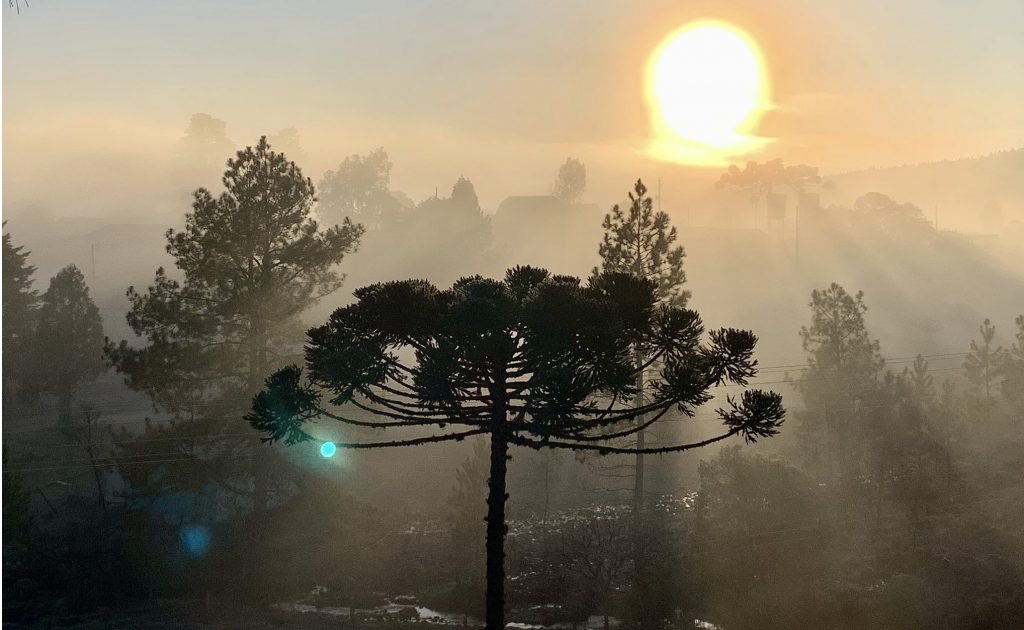 Como serão as primeiras semanas do inverno climático de 2023