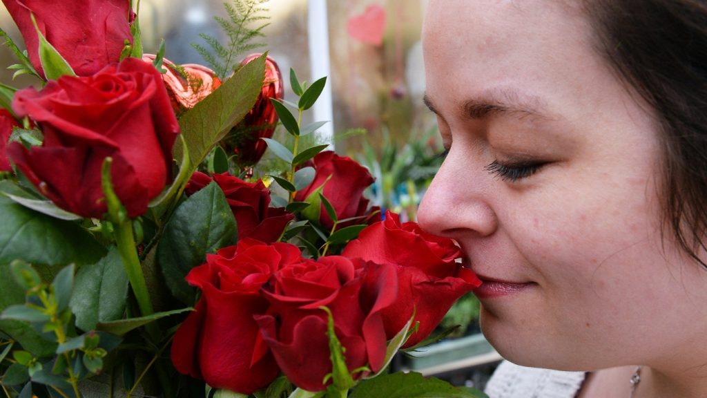 Previsão do tempo: veja o que esperar no Dia das Mães