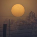Nevoeiro e frio marcam a despedida de maio no Rio Grande do Sul