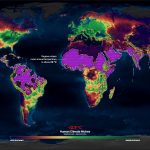 Calor pode ficar intolerável em parte do Brasil no futuro, mostra estudo