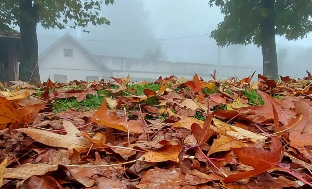 Previsão do tempo: muitas nuvens, chuva, garoa e alta umidade