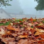 Previsão do tempo: muitas nuvens, chuva, garoa e alta umidade