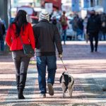 Frio ao amanhecer vai persistir em grande parte desta semana
