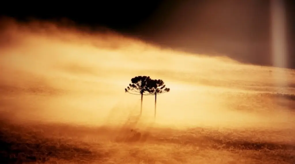 Cidades altas do Sul e Sudeste têm umidade de deserto do Atacama