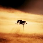Cidades altas do Sul e Sudeste têm umidade de deserto do Atacama