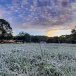 Dia típico de inverno tem chuva depois da geada