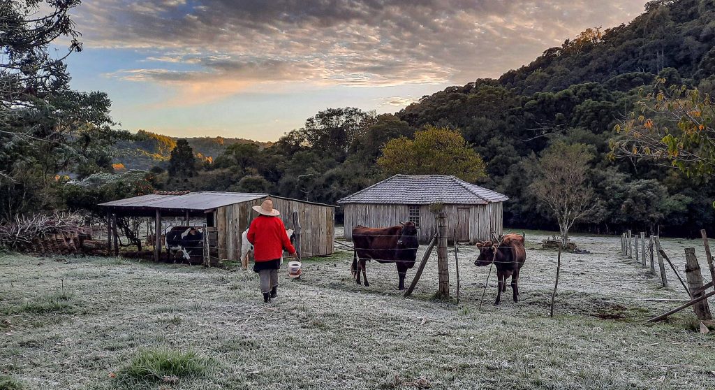Temperatura negativa com chuva congelada depois da geada