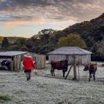 Temperatura negativa com chuva congelada depois da geada